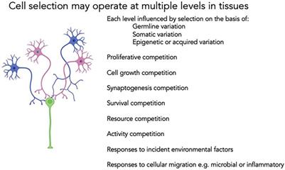 Single Cell Biology: Exploring Somatic Cell Behaviors, Competition and Selection in Chronic Disease